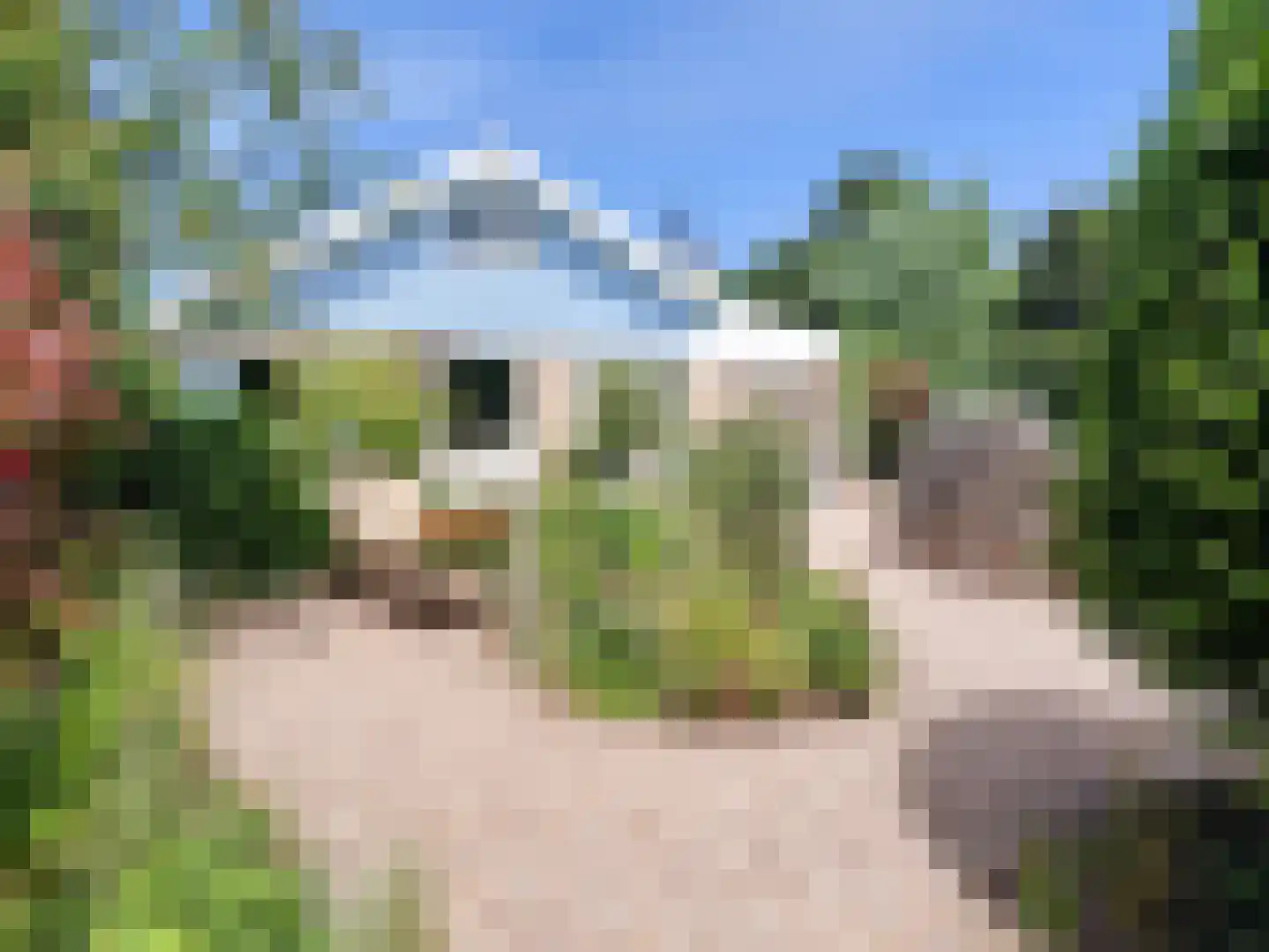 Prinsenhof 20 Ouddorp