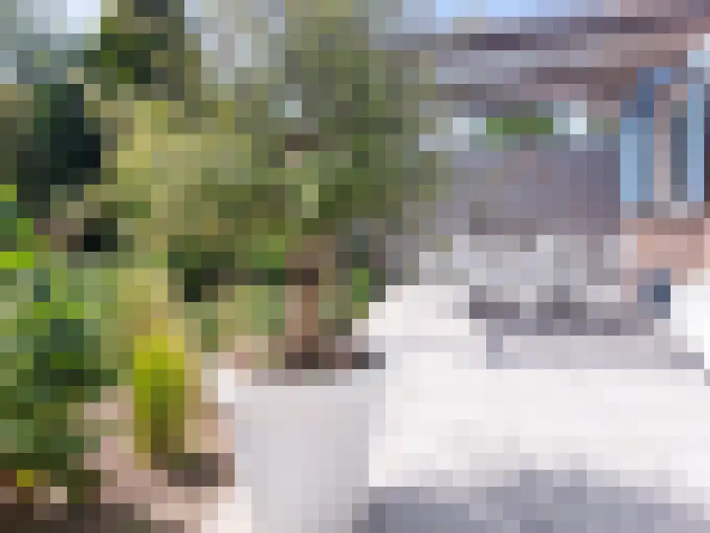 Prinsenhof 20 Ouddorp thumbnail 14