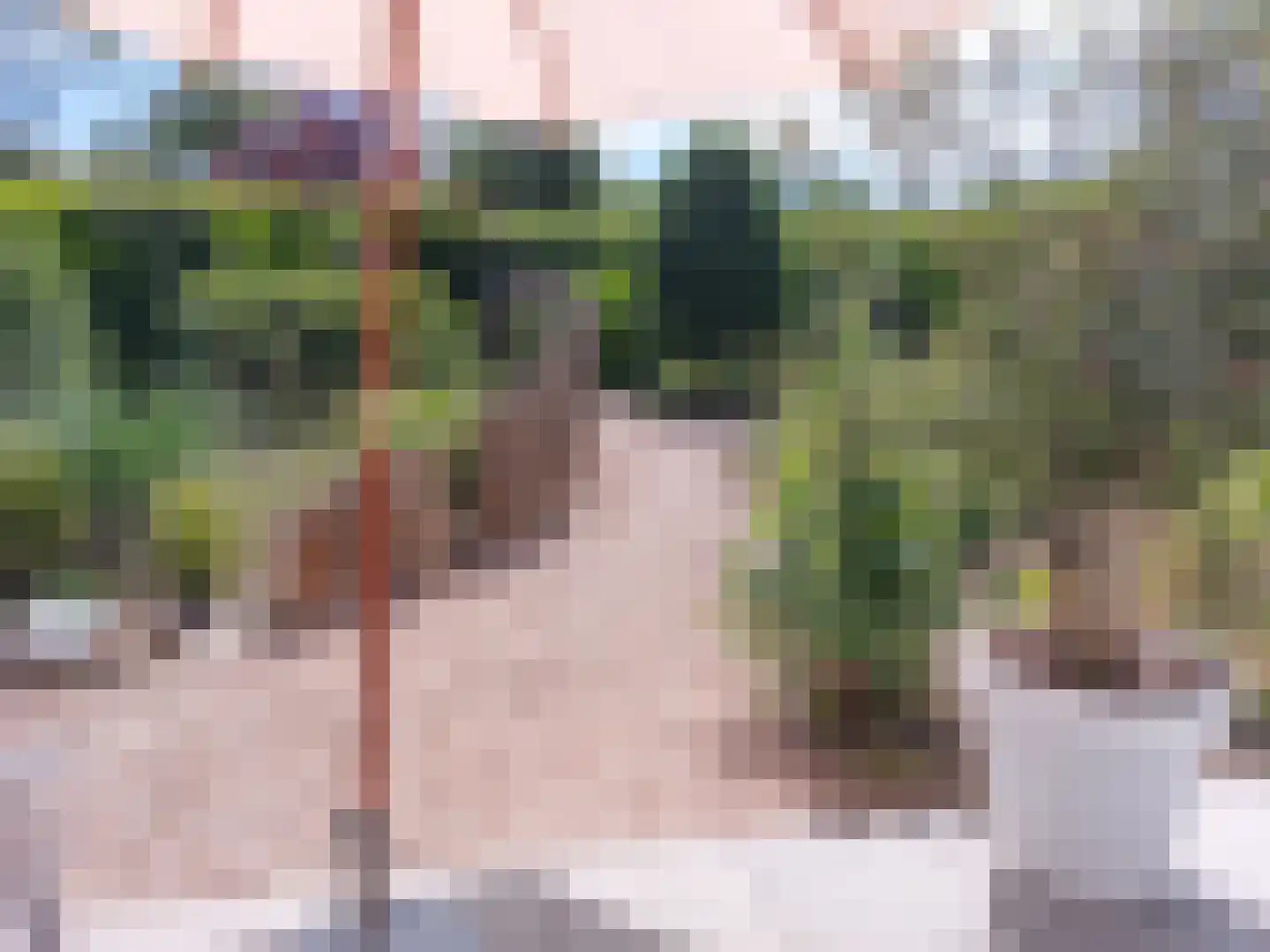 Prinsenhof 20 Ouddorp thumbnail 15