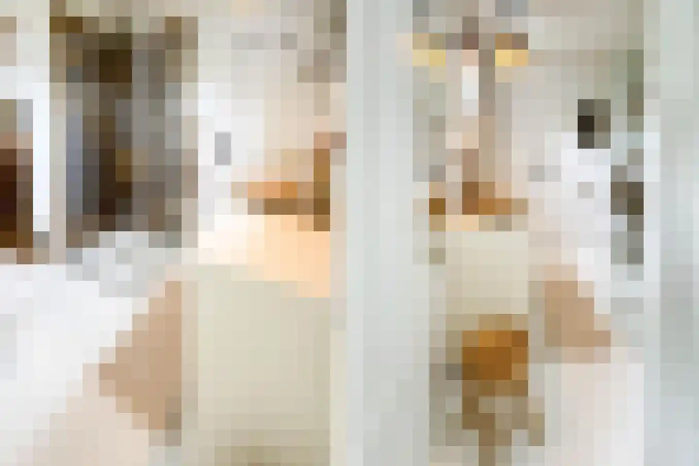 Prinsenhof 20 Ouddorp thumbnail 8
