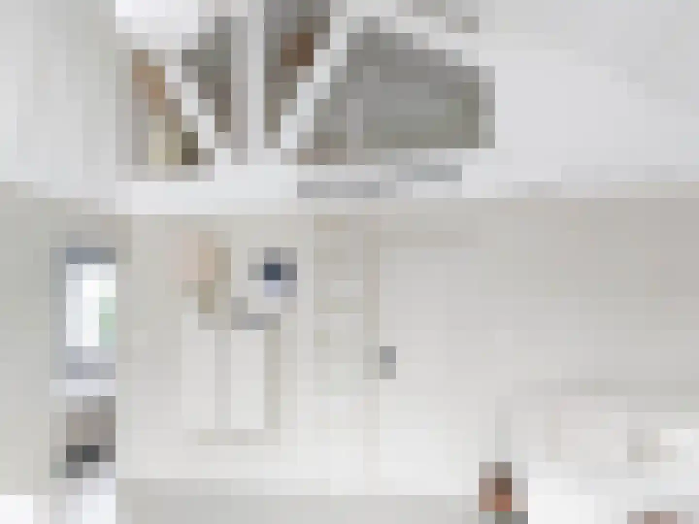 Prinsenhof 20 Ouddorp thumbnail 9