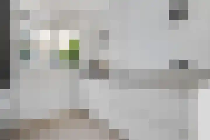 Prinsenhof 22 Leiderdorp thumbnail 11