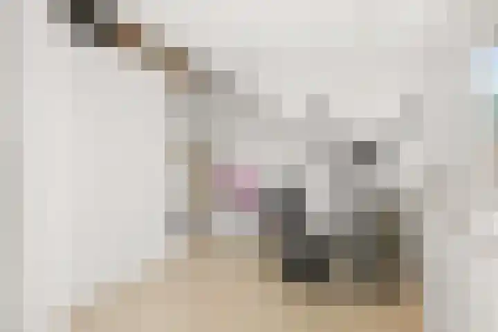 Prinsenhof 22 Leiderdorp thumbnail 25