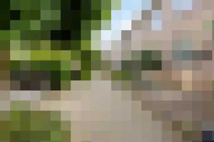 Prinsenhof 22 Leiderdorp thumbnail 33