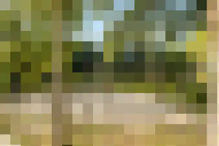 Prinsenhof 22 Leiderdorp thumbnail 35