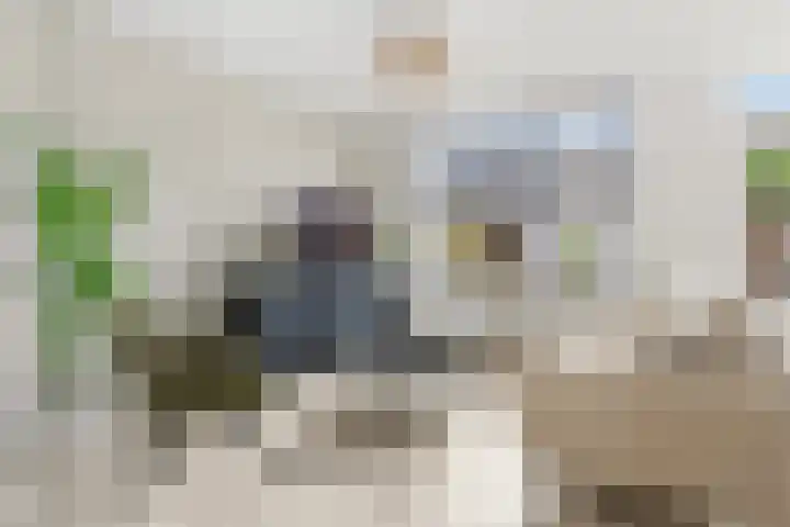 Prinsenhof 22 Leiderdorp thumbnail 4