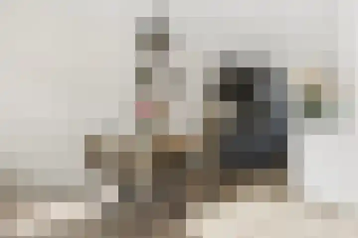 Prinsenhof 22 Leiderdorp thumbnail 5