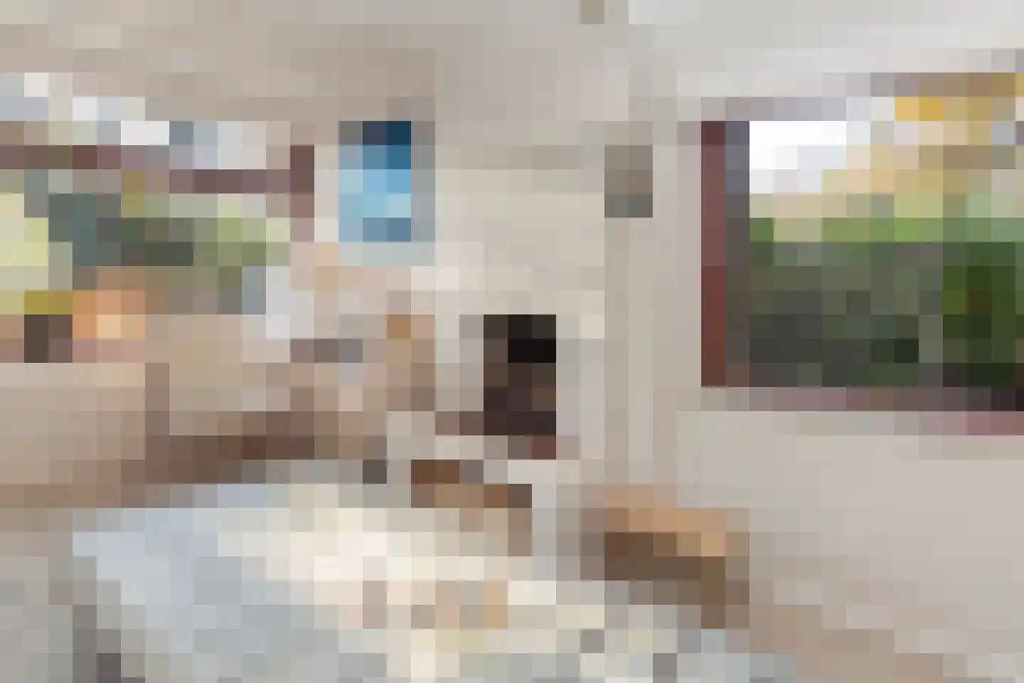 Prinsenhof 23 Ouddorp thumbnail 10