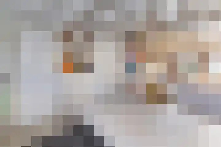 Prinsenhof 23 Ouddorp thumbnail 15