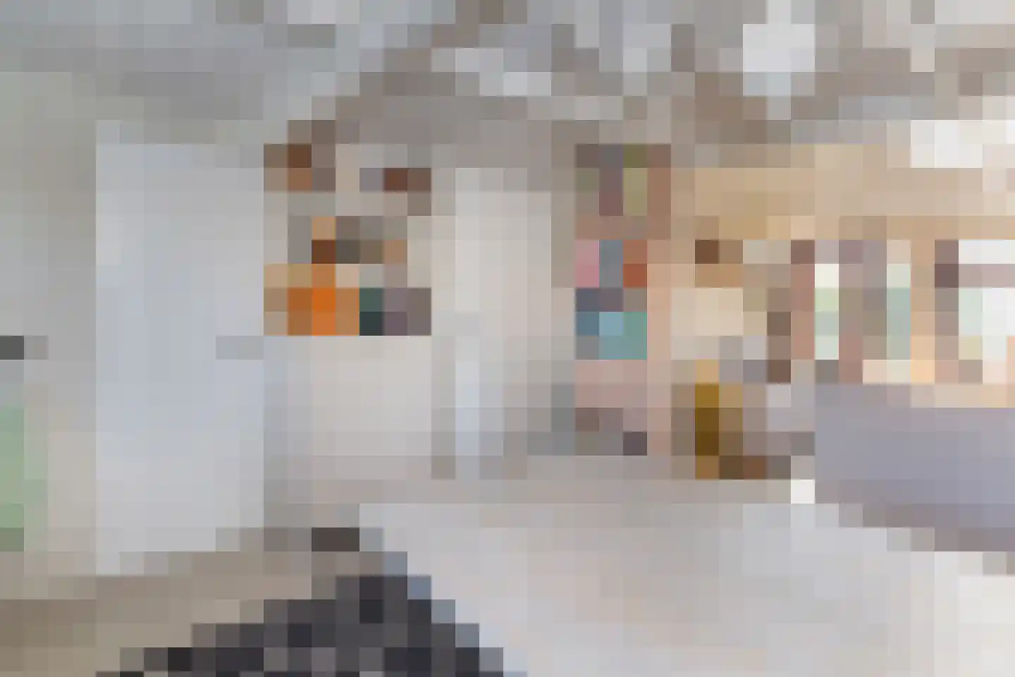 Prinsenhof 23 Ouddorp thumbnail 16