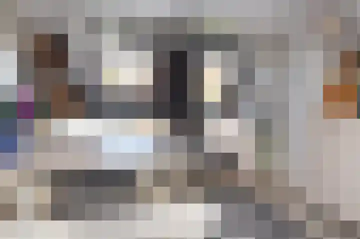 Prinsenhof 23 Ouddorp thumbnail 17