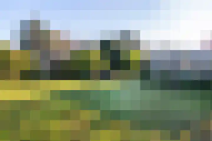 Prinsenhof 23 Ouddorp thumbnail 26