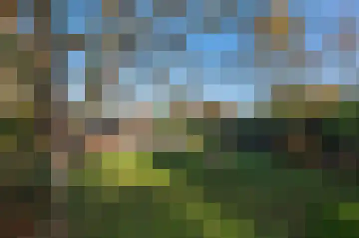 Prinsenhof 23 Ouddorp thumbnail 30