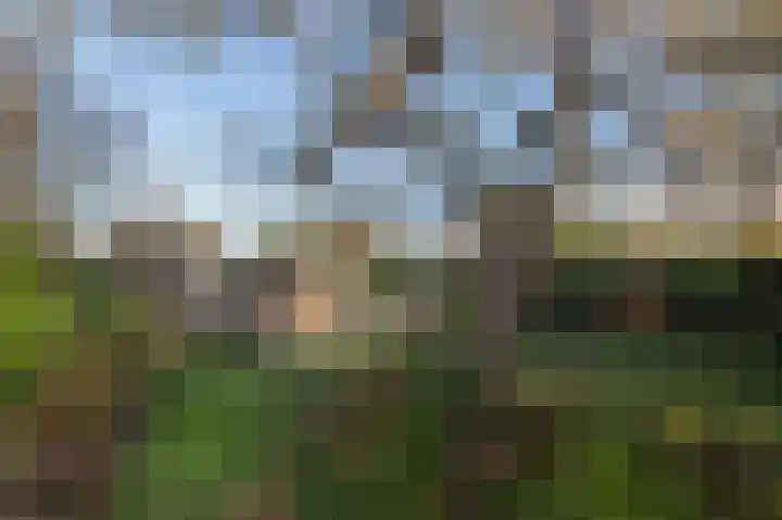 Prinsenhof 23 Ouddorp thumbnail 31
