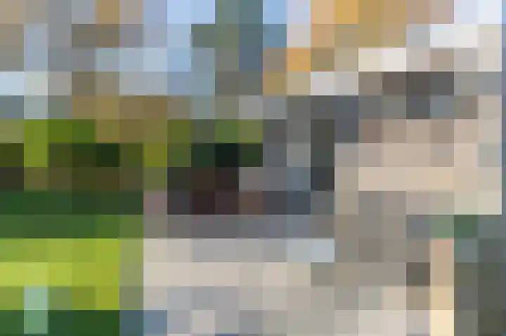 Prinsenhof 23 Ouddorp thumbnail 4