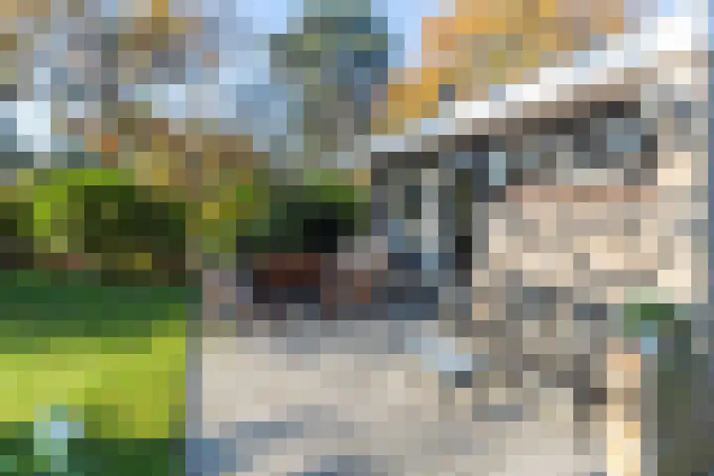 Prinsenhof 23 Ouddorp thumbnail 5