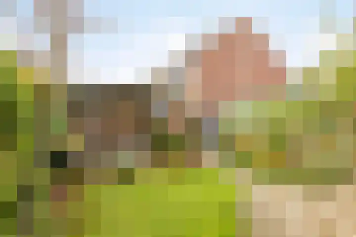 Prinsenhof 29 Pijnacker thumbnail 28