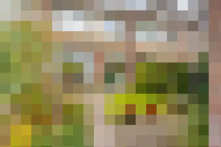Prinsenhof 29 Pijnacker thumbnail 30