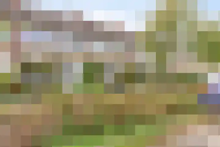 Prinsenhof 29 Pijnacker thumbnail 7
