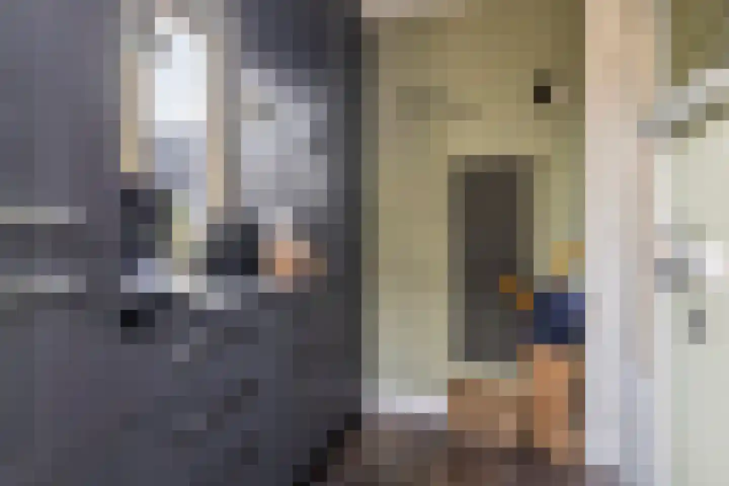 Prinsenhof 3 Kesteren thumbnail 11