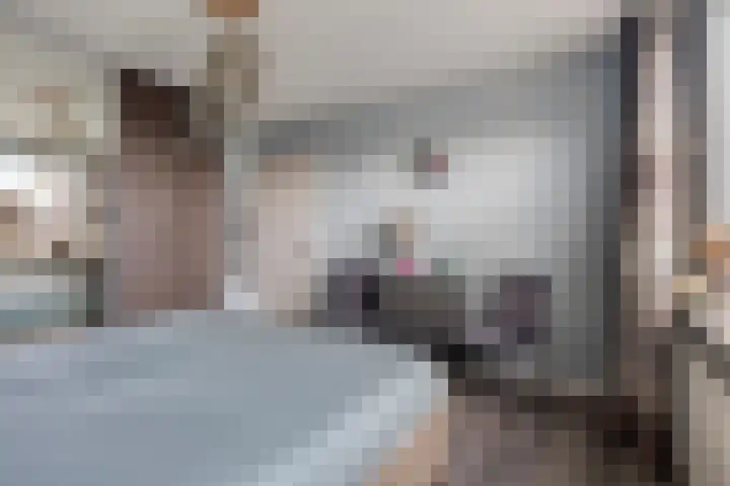 Prinsenhof 3 Kesteren thumbnail 16