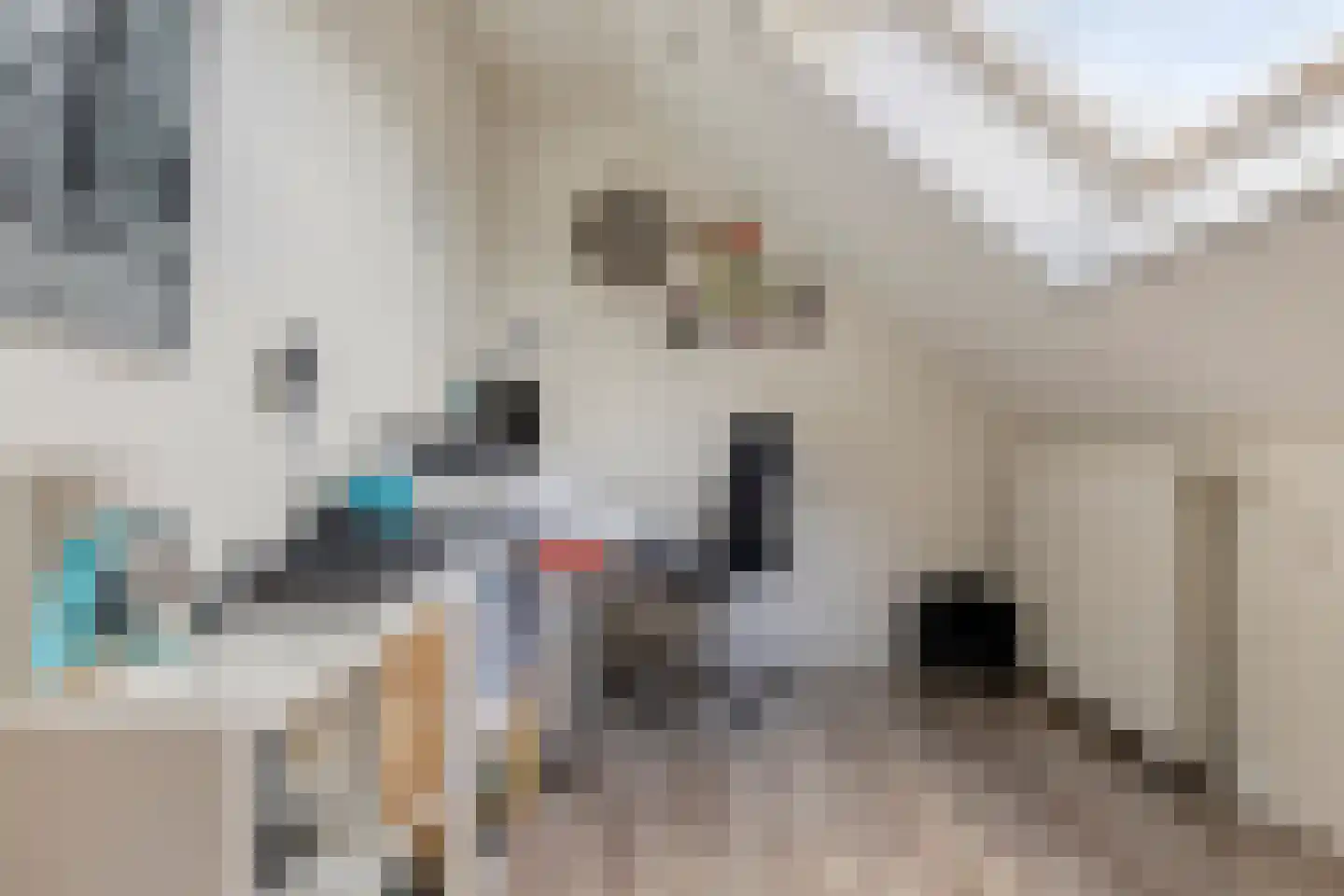 Prinsenhof 3 Kesteren thumbnail 28