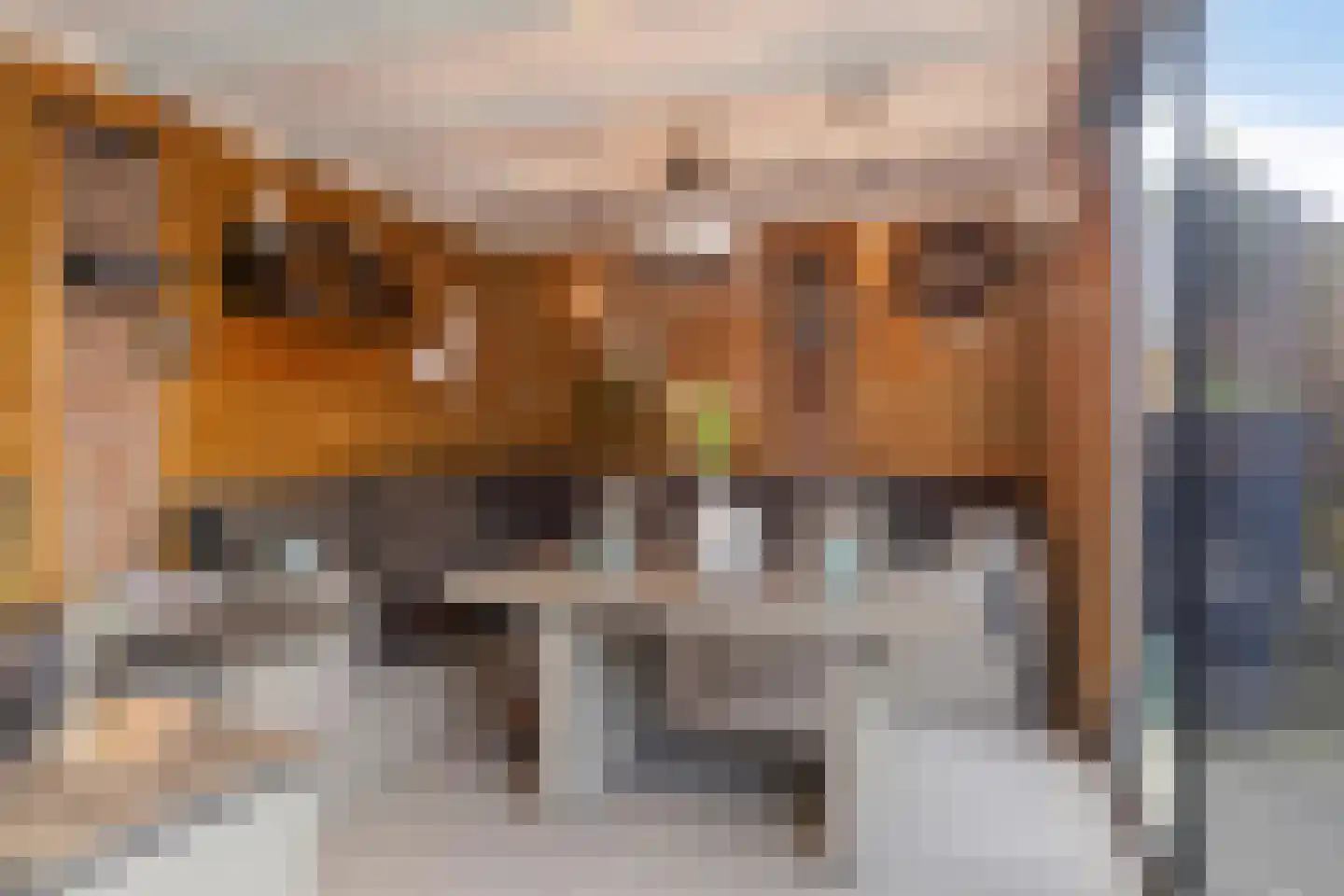 Prinsenhof 3 Kesteren thumbnail 33