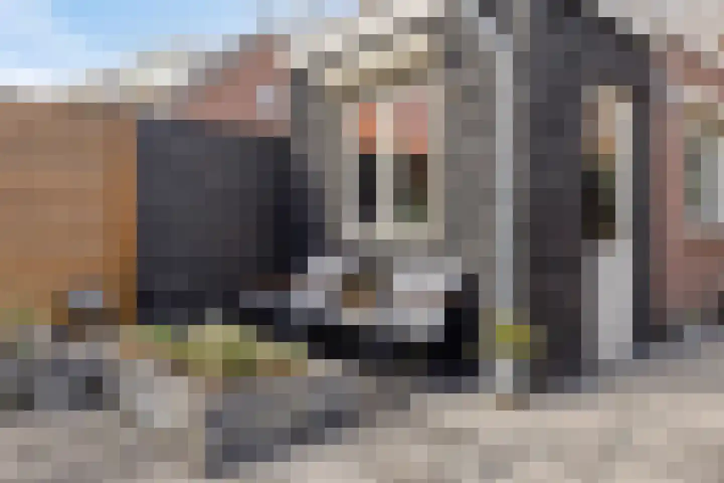 Prinsenhof 3 Kesteren thumbnail 34