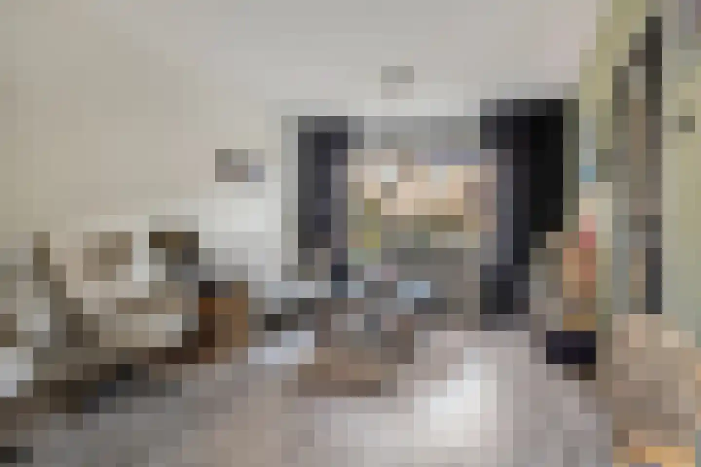 Prinsenhof 3 Kesteren thumbnail 4