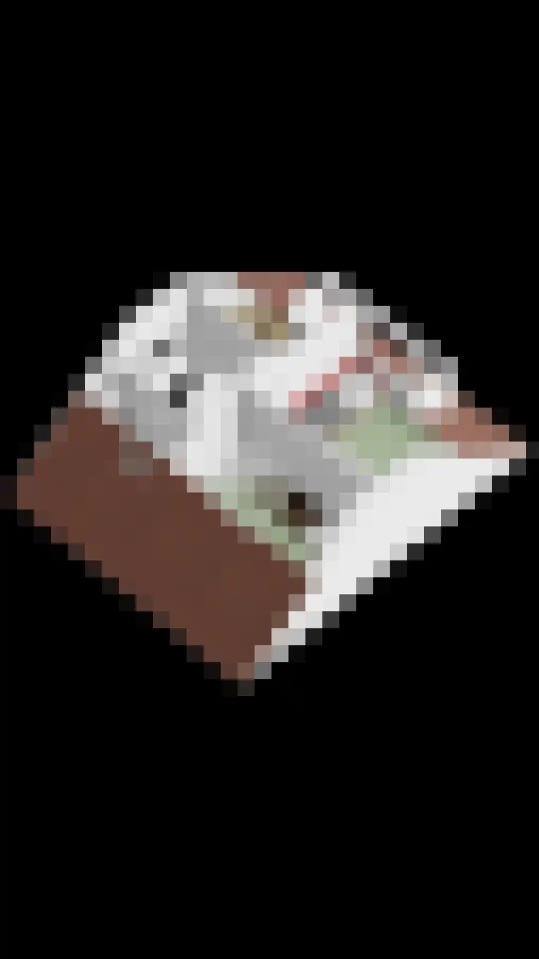Prinsenhof 3 Kesteren thumbnail 43