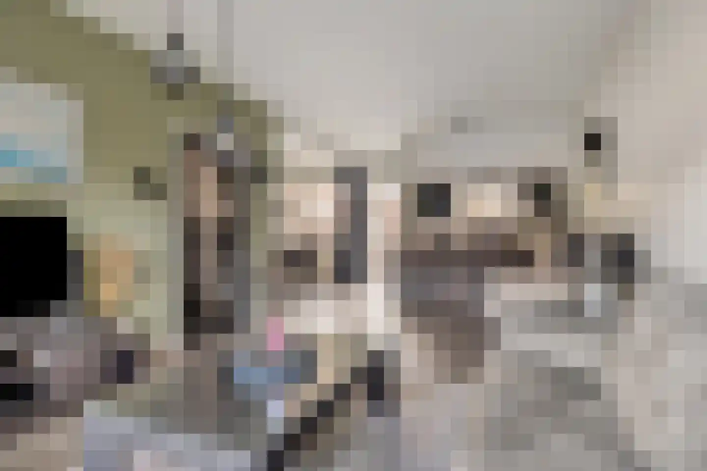 Prinsenhof 3 Kesteren thumbnail 5