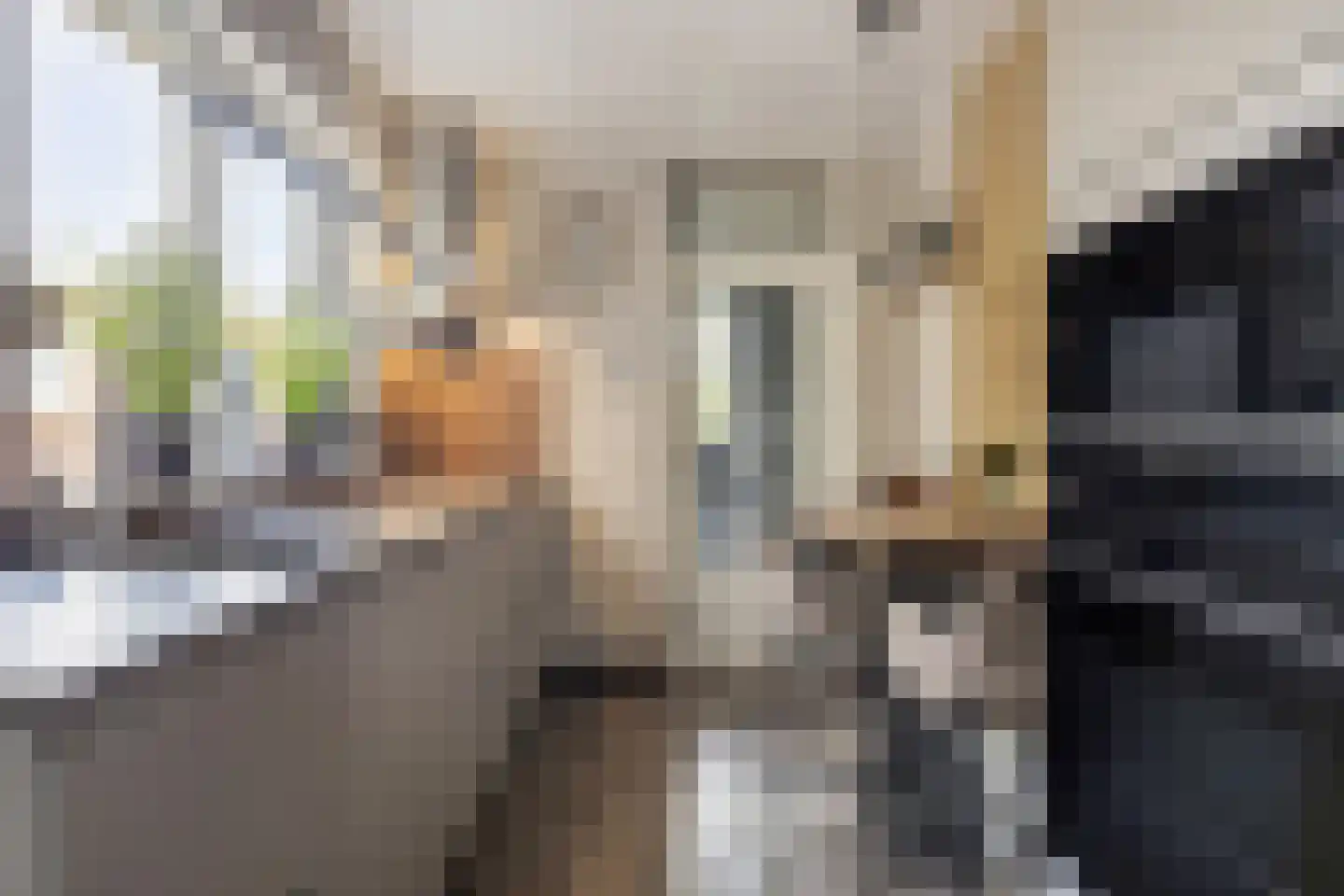 Prinsenhof 3 Kesteren thumbnail 7