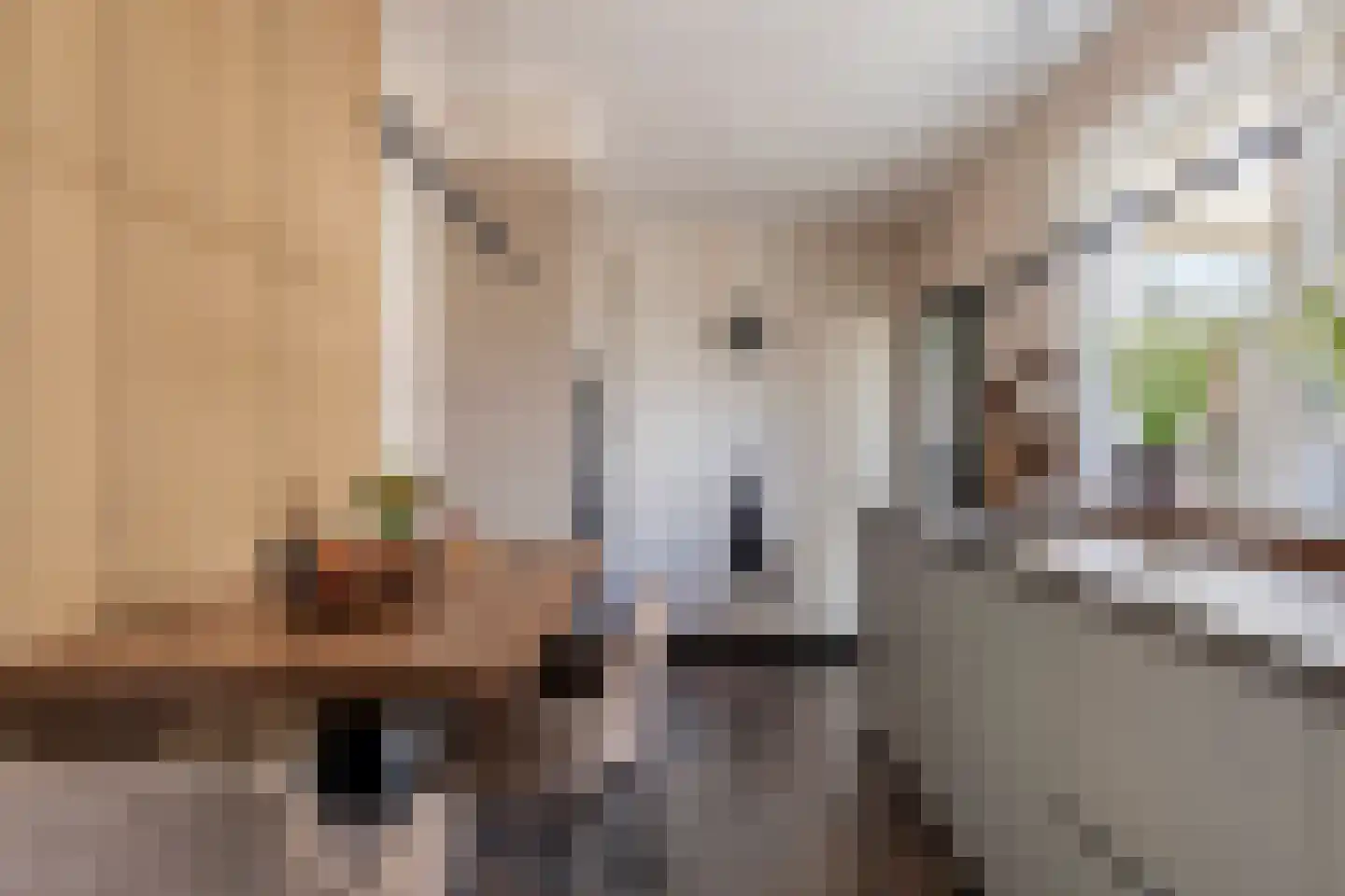Prinsenhof 3 Kesteren thumbnail 8