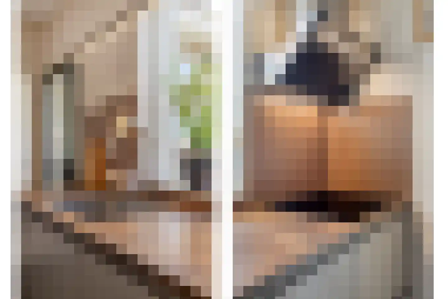Prinsenhof 3 Kesteren thumbnail 9