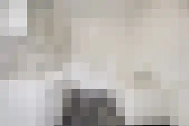 Prinsenhof 3 Venray thumbnail 20