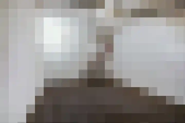 Prinsenhof 3 Venray thumbnail 31