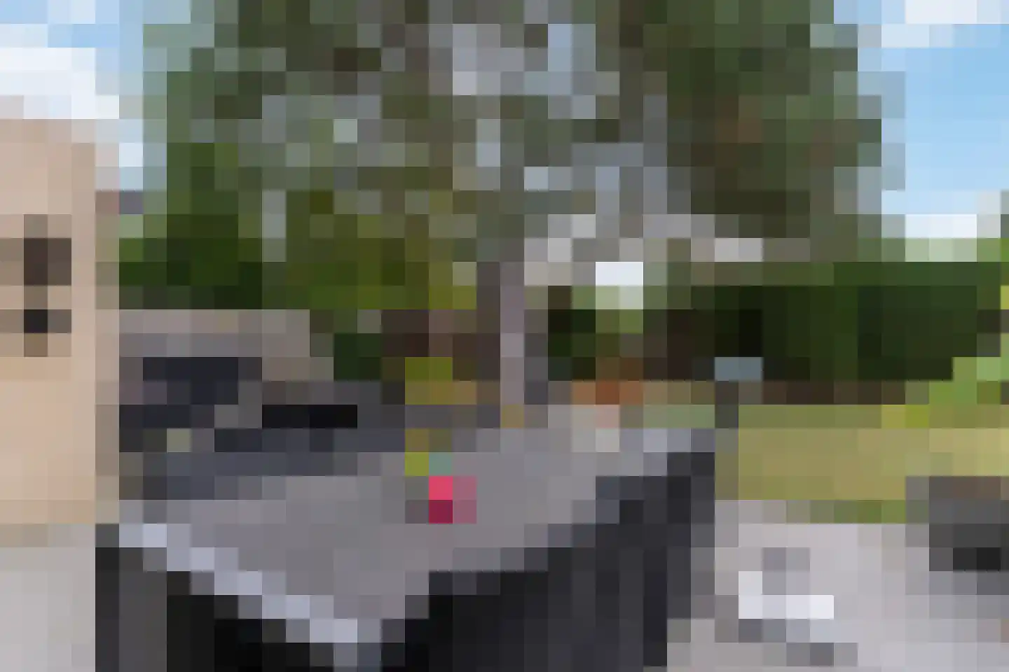 Prinsenhof 33 Ouddorp thumbnail 28