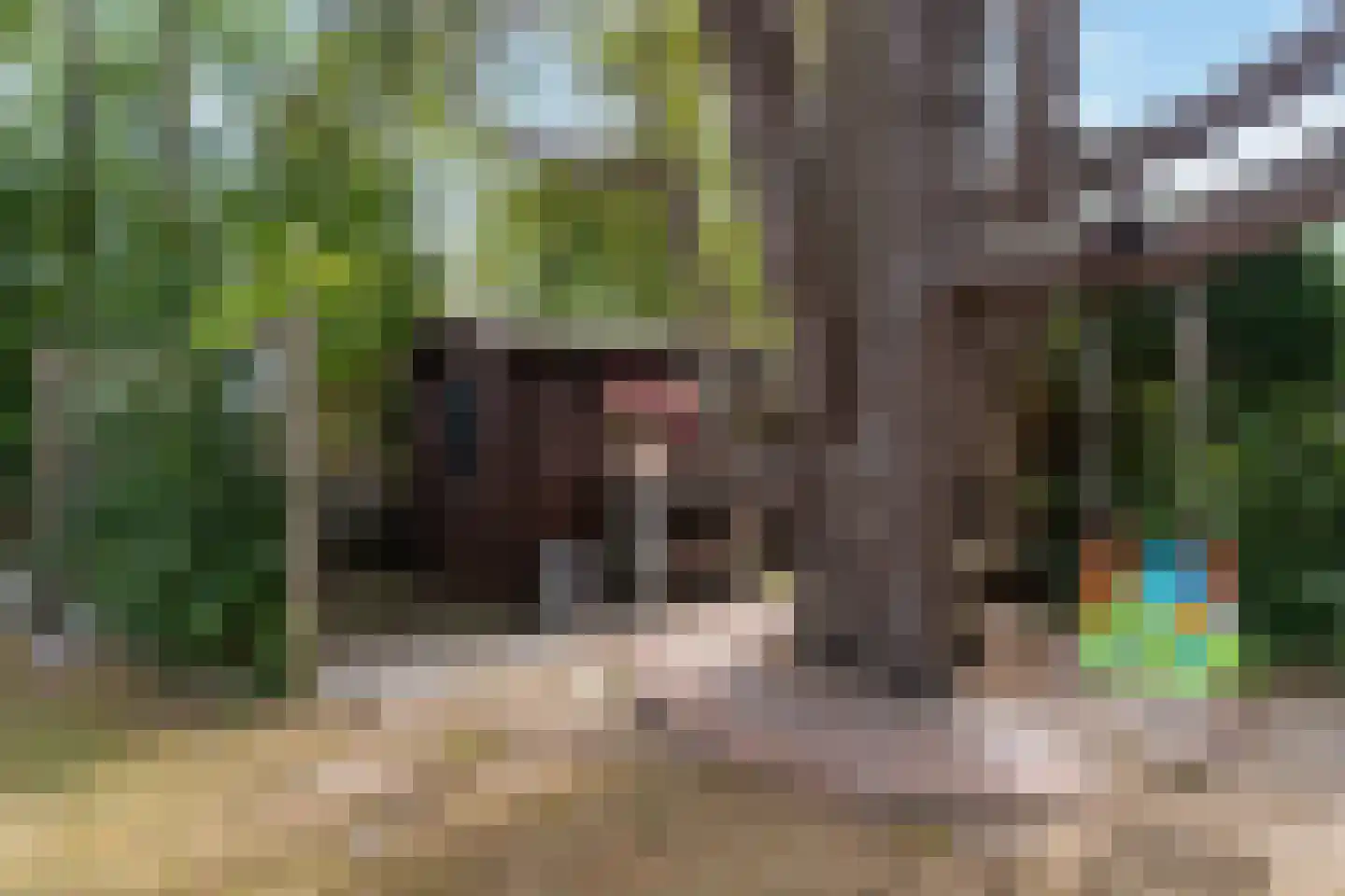 Prinsenhof 33 Ouddorp thumbnail 32