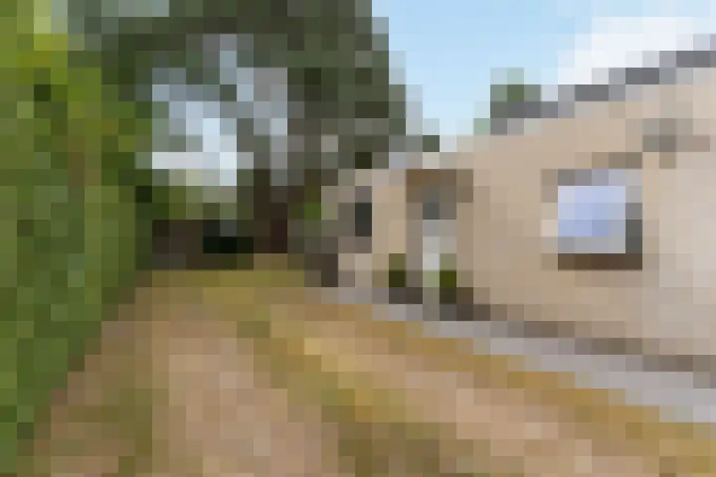 Prinsenhof 33 Ouddorp thumbnail 5