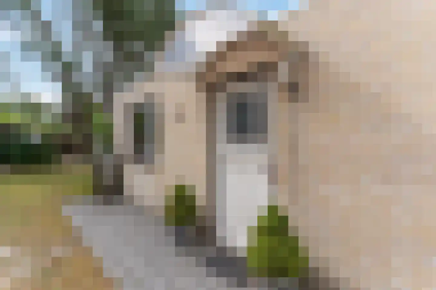 Prinsenhof 33 Ouddorp thumbnail 6