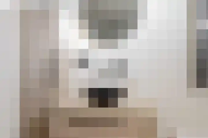 Prinsenhof 34 Leiderdorp thumbnail 20