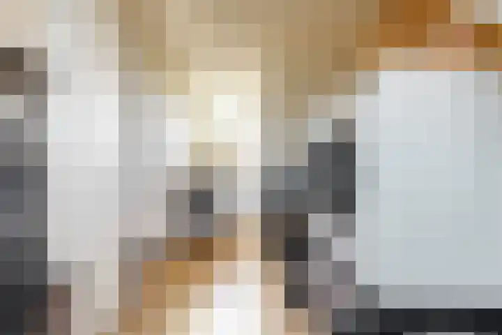 Prinsenhof 34 Leiderdorp thumbnail 26