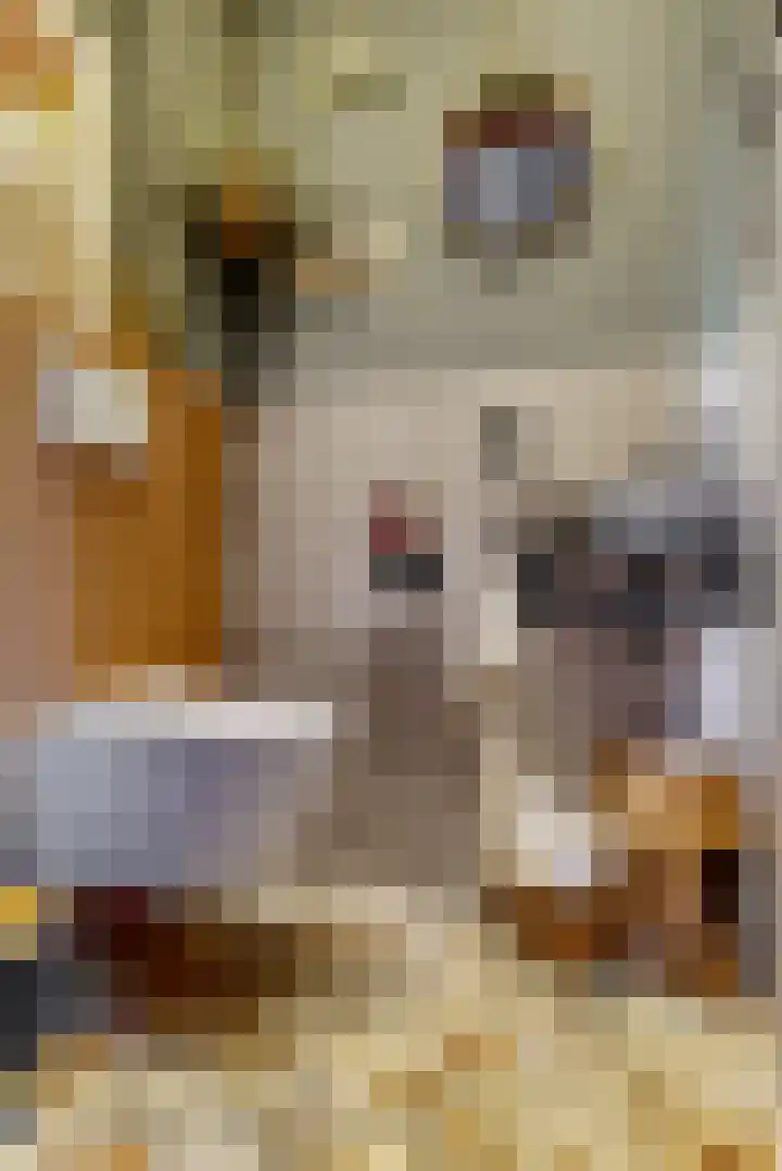 Prinsenhof 34 Leiderdorp thumbnail 6