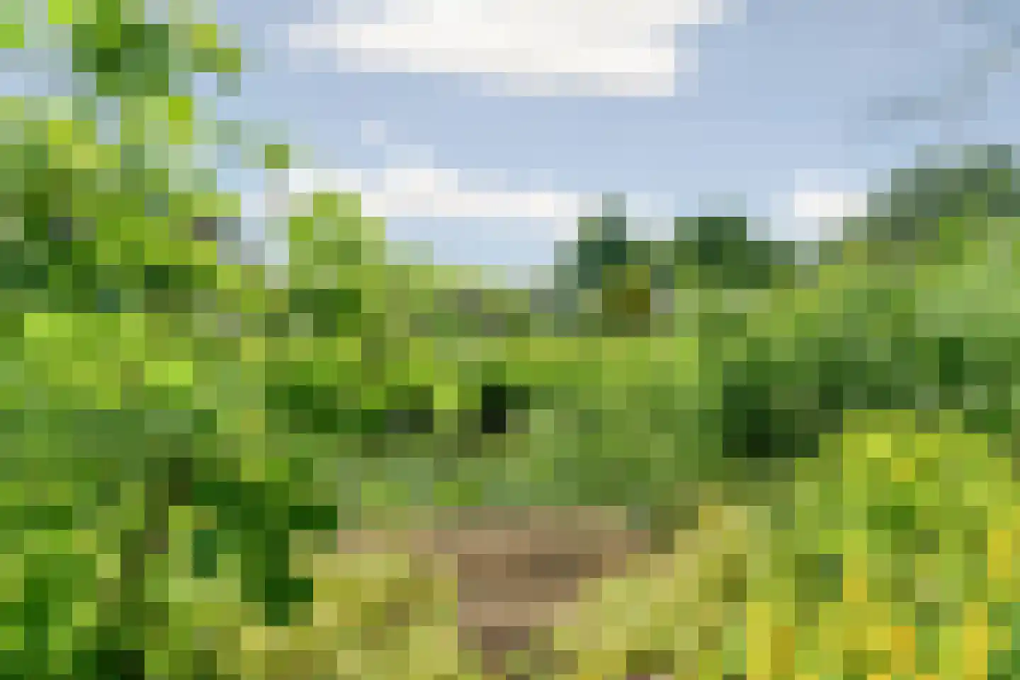 Prinsenhof 35 Pijnacker thumbnail 17