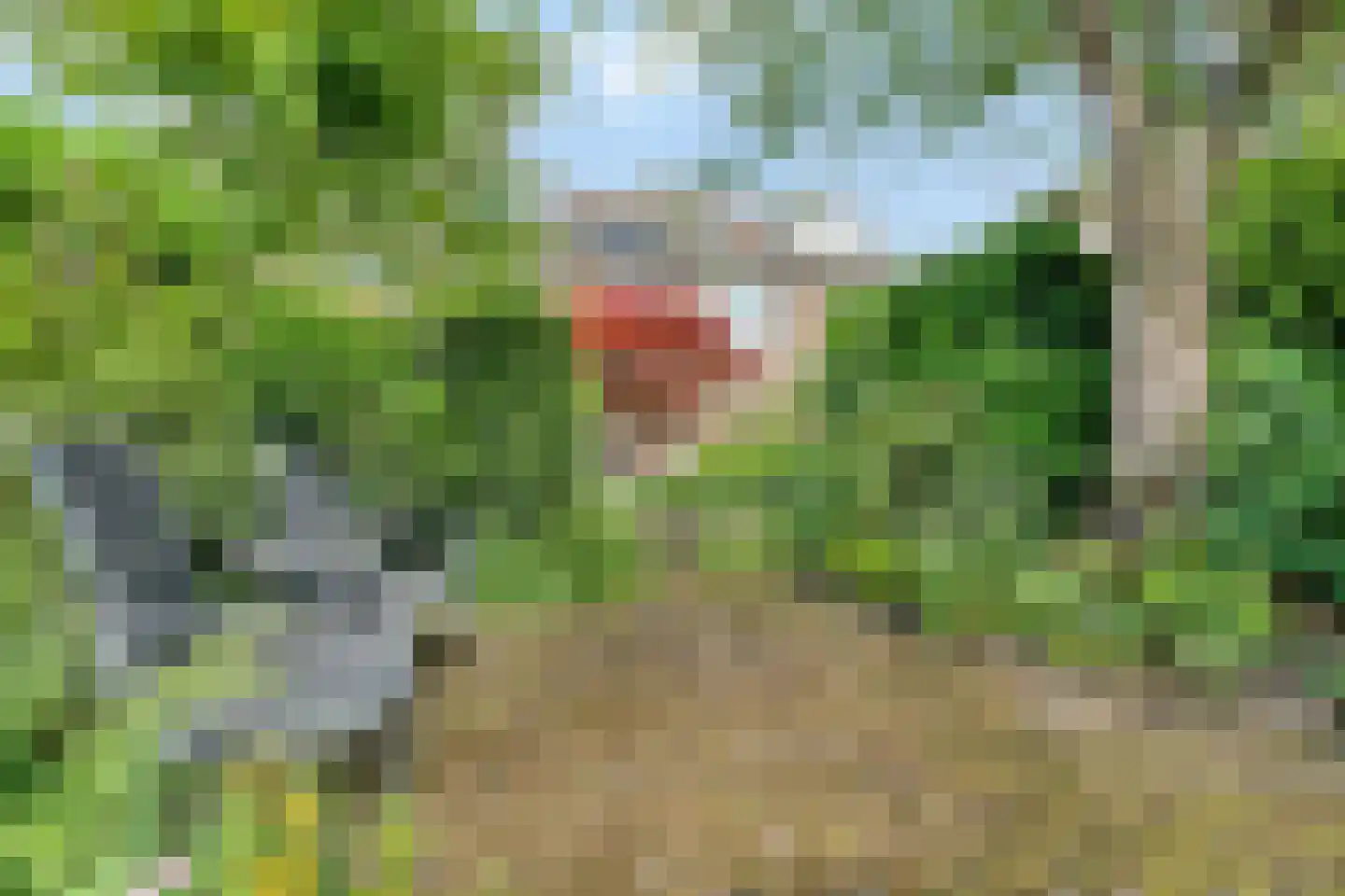 Prinsenhof 35 Pijnacker thumbnail 18