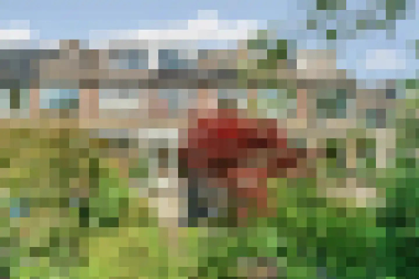 Prinsenhof 35 Pijnacker thumbnail 19