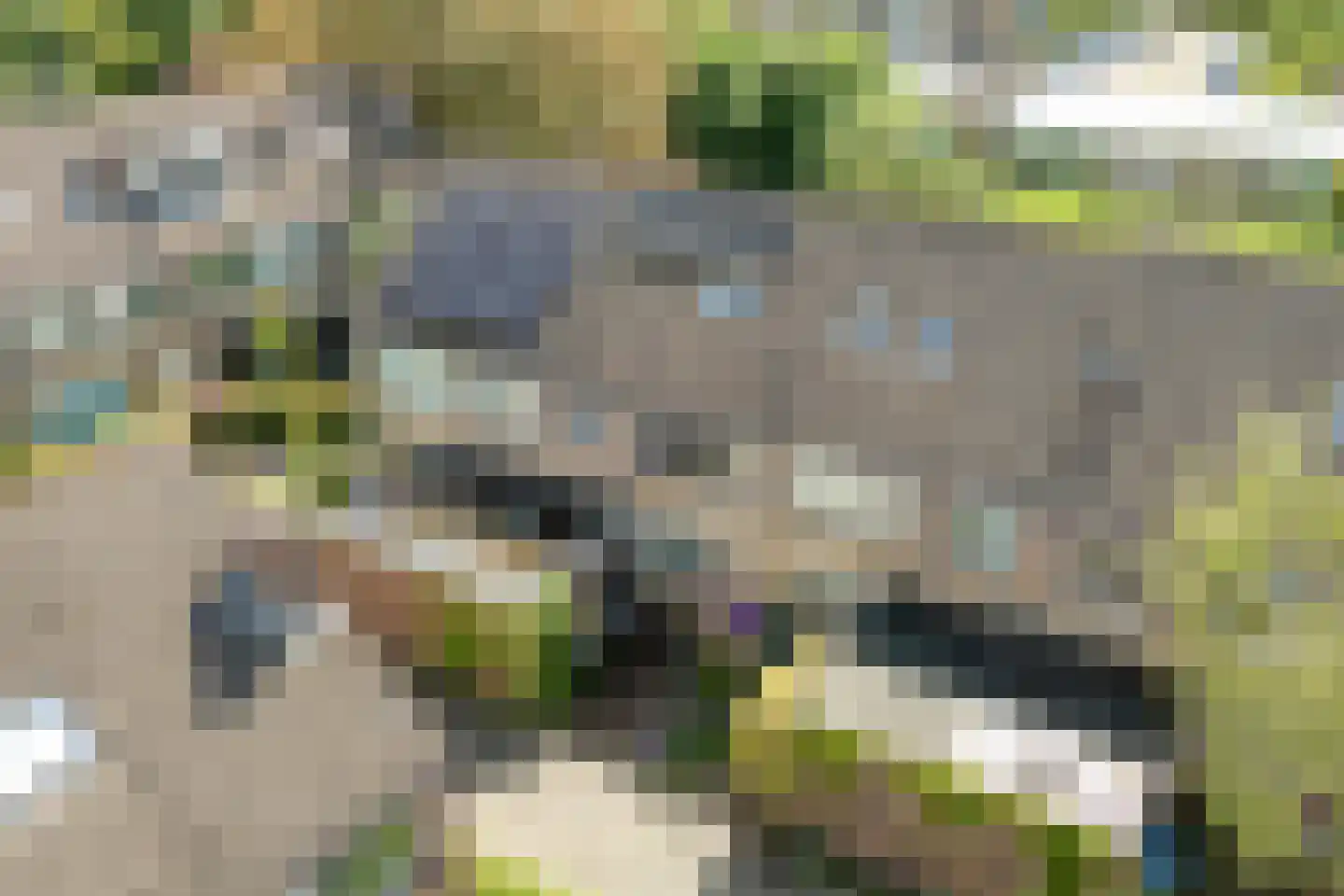 Prinsenhof 35 Pijnacker thumbnail 46