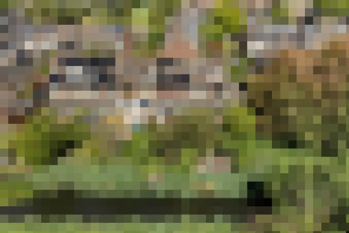 Prinsenhof 35 Pijnacker thumbnail 47