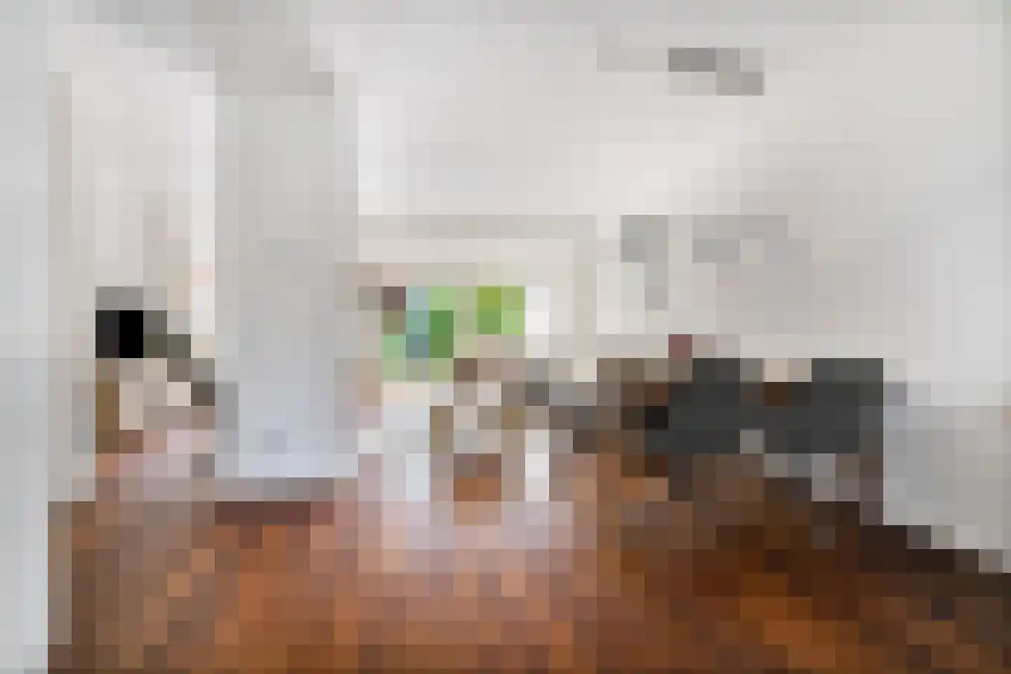 Prinsenhof 35 Pijnacker thumbnail 8