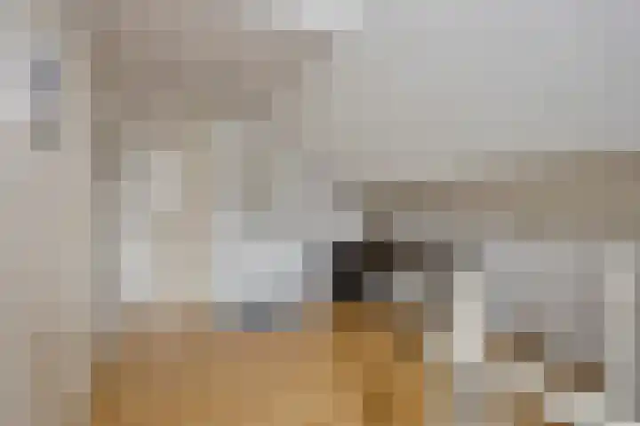 Prinsenhof 39 Harmelen thumbnail 27